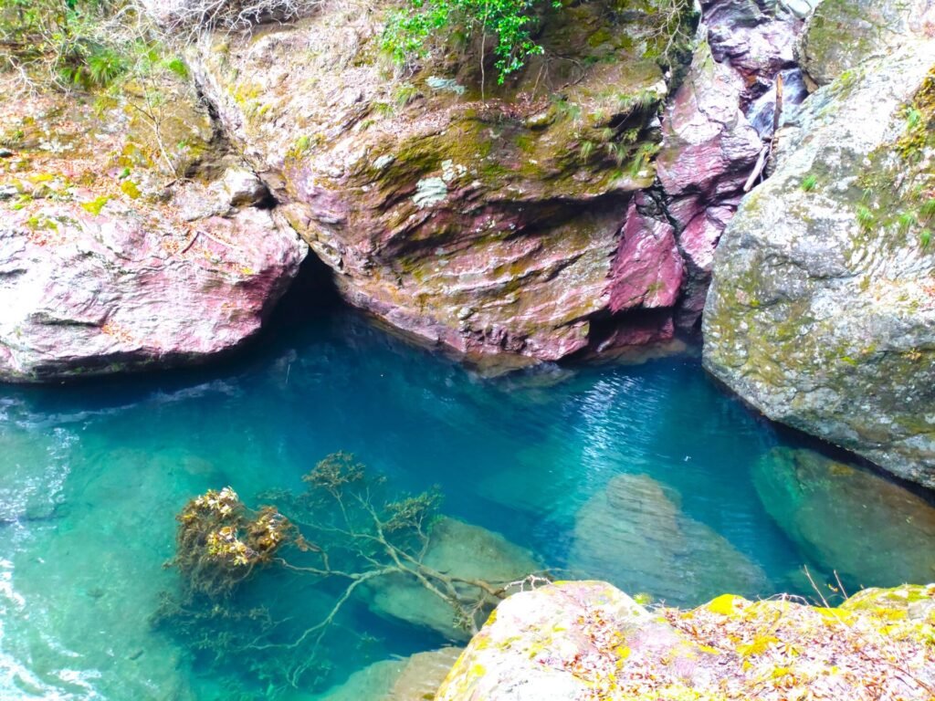 ⛩️ 나카츠세 신사 (中津瀬神社) 이미지 4